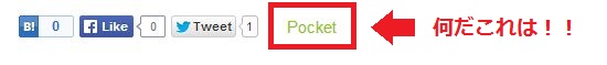 WP Social Bookmarking Light でPocketが表示されない！