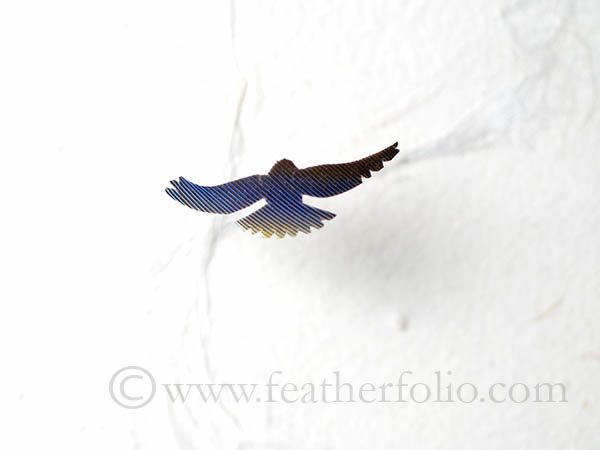 [Today Art] 羽から作り出す小さな小さな鳥!!
