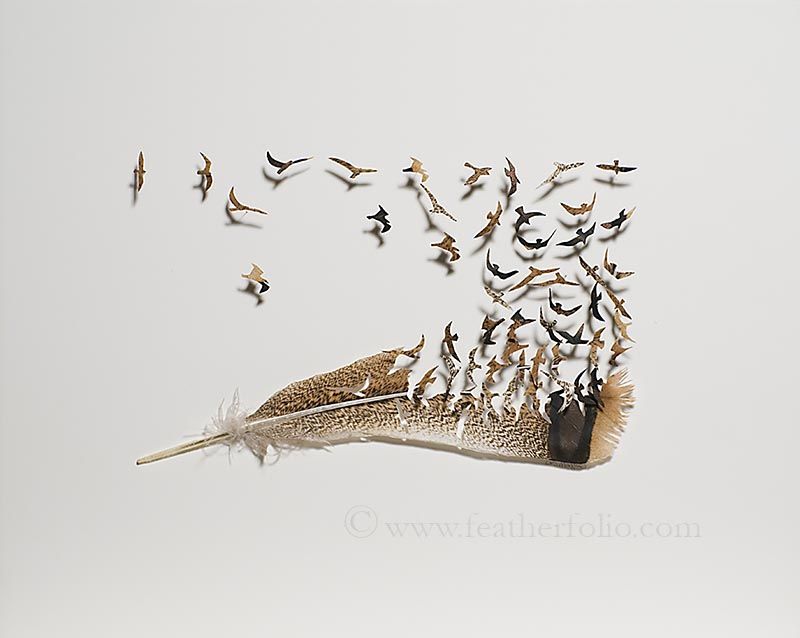 [Today Art] 羽から作り出す小さな小さな鳥!!